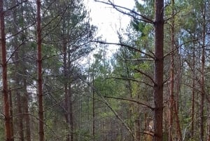 Randonnée dans la nature depuis Stockholm