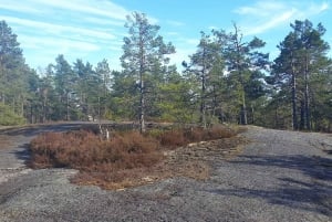Randonnée dans la nature depuis Stockholm