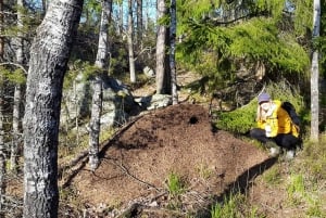 Randonnée dans la nature depuis Stockholm
