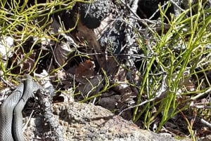Randonnée dans la nature depuis Stockholm