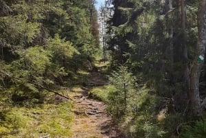 Nature Hike from Stockholm