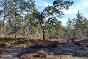 Nature Hike from Stockholm