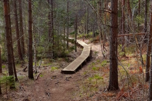 Nature Hike from Stockholm