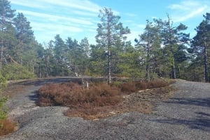 Nature Hike from Stockholm