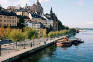 Au départ de Tallinn : croisière de nuit vers Stockholm.