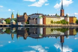 Stoccolma panoramica: tour privato con un veicolo