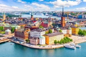 Stoccolma panoramica: tour privato con un veicolo