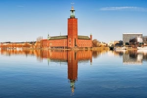 Stockholm panoramique : Visite privée avec véhicule