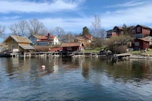 Recorrido fotográfico: Excursión histórica de un día por las islas de Estocolmo