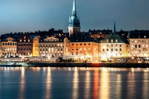 Private Boat Tour in Stockholm