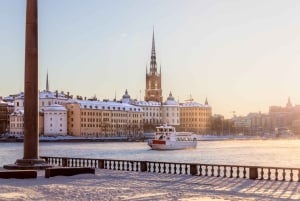 Paseo fotográfico privado de la Hora Dorada en Estocolmo