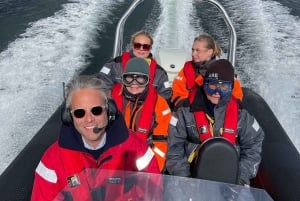 Guided Archipelago speedboat tours from Saltsjöbaden