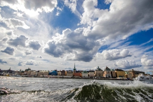 Royal Canal Tour - Explore Stockholm by Boat