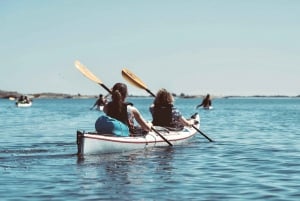 Archipel de Saint Anna : Kayak guidé et camping sauvage