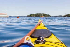 Vaxholm: Self Guided Kayak Adventure in Nature Reserve