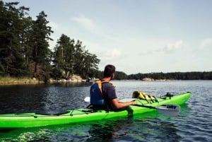 Vaxholm: Self Guided Kayak Adventure in Nature Reserve