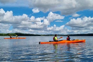 Sigtuna: tour in kayak dei siti storici del lago Mälaren con pranzo