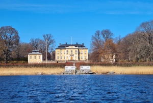 Sigtuna: Mälaren-järven historialliset kohteet - kajakkikierros lounaalla.