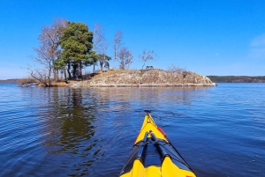 Sigtuna: Historyczne miejsca nad jeziorem Mälaren Spływ kajakowy z lunchem