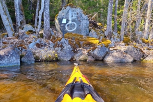 Sigtuna: tour in kayak dei siti storici del lago Mälaren con pranzo