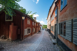 Skansen Stockholm Billets Fast-Track, visite privée