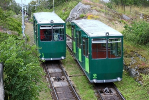 Skansen Tukholma Fast-Track Liput, Yksityinen kiertoajelu
