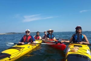 Stoccolma: tour in kayak di 1, 2 o 3 giorni nell'arcipelago