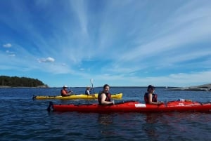 Estocolmo: tour de kayak de 1, 2 o 3 días en el archipiélago