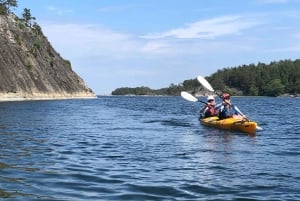 Stockholm: 1, 2 oder 3-tägige Kajaktour im Schärengarten