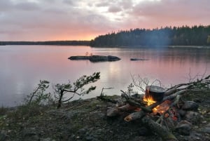 Stockholm: 1-Day Summer Nature Hike