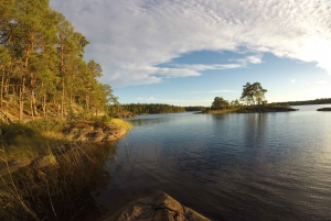 Stockholm: 1-Day Summer Nature Hike