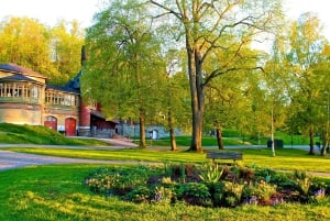Tukholma: 2-tuntinen Djurgårdenin kiertoajelu
