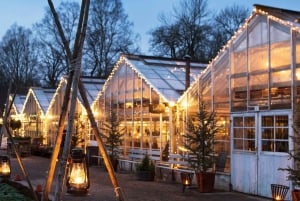 Tukholma: 2-tuntinen Djurgårdenin kiertoajelu