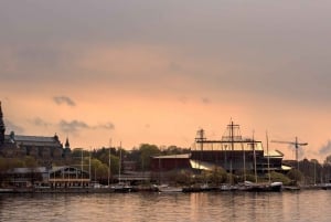 Stockholm: 2-Hour Djurgården Sightseeing Tour