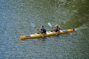 Stockholm: 2-Hour Guided Kayak City Tour & Optional Dinner