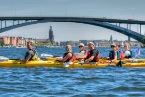 Stockholm: 2-Hour Guided Kayak City Tour & Optional Dinner