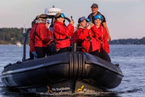 Stoccolma: tour in barca dell'arcipelago in RIB della durata di 2 ore