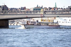 Stoccolma: autobus e barca Hop-on Hop-off da 24 ore