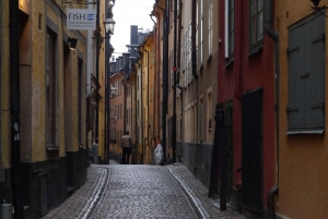 Stockholm: 3-Hour City Tour with Live Guide