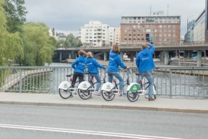 Stockholm: 3 timmars privat guidad rundtur med cykel