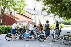 Excursão de bicicleta guiada privada de 3 horas em Estocolmo