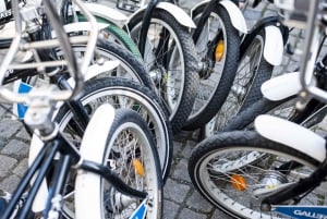 Visita guiada privada de 3 horas en bicicleta por Estocolmo