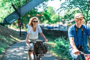 Stockholm 3-Hour Private Guided Bike Tour