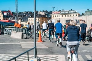 Stockholm 3-Hour Private Guided Bike Tour