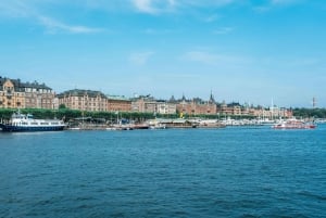 Stockholm 3-Hour Private Guided Bike Tour