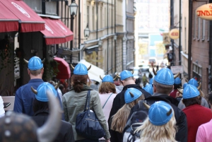 Stockholm 90-Minute Private Viking Walking Tour