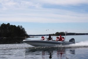 Stockholms skjærgård: 1 times tur med speedbåt