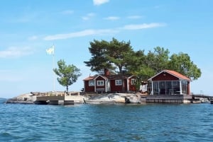 Stockholms skjærgård: 1 times tur med speedbåt