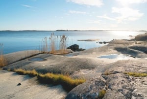 Tukholman saaristo: 4 päivän ohjattu melonta ja villileiri