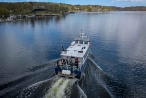 Стокгольм: круиз по архипелагу с барбекю-обедом